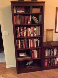 Lots of Books, Crate & Barrel Bookcase