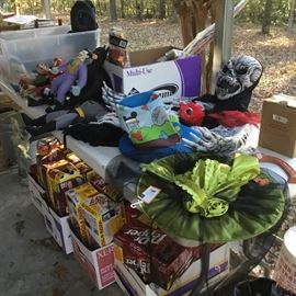 Halloween hats and more