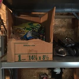 The tick collectibles