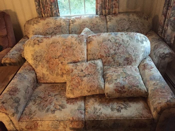 Sleeper sofa and loveseat.  Excellent Condition. 