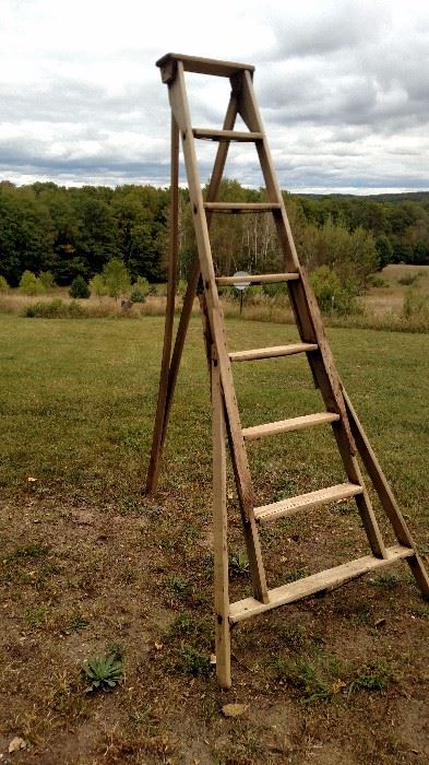 8" tripod orchard ladder