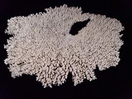 LARGE NATURAL CORAL 