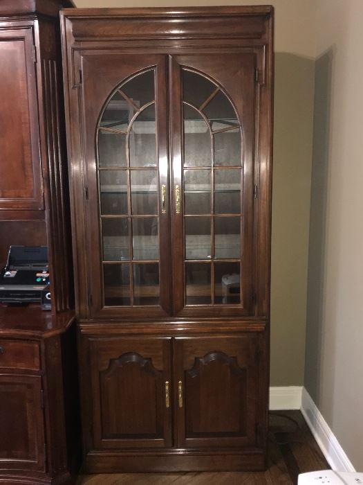 Bookcase/Cabinet with lights and glass doors