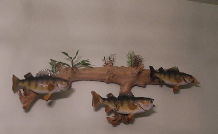 Mounted fish on driftwood