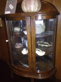Small display cabinet with beach treasures
