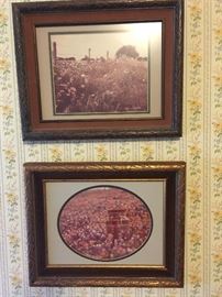 country store antiques form a time