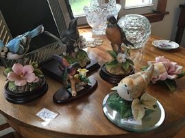 nice collection of porc. birds