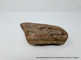 Petrified Wood