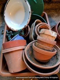 Flower Pot Lot