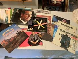 Large Vinyl Record Lot