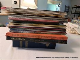 Large Vinyl Record Lot