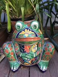 Garden Frog