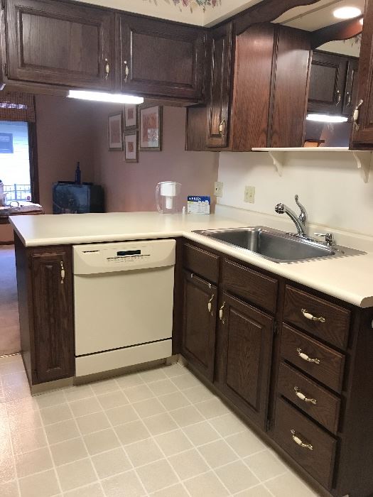 Dish Washer in working order, great kitchen cabinets, sink and counter top!
