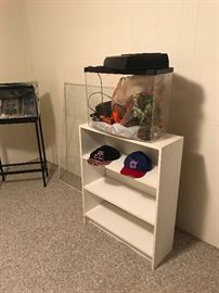 Shelf and aquarium.