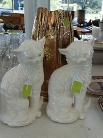 Vases and Cats