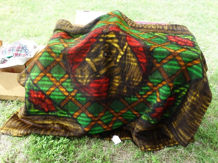 Carriage Blanket!