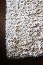 Shag carpet (possibly vintage)