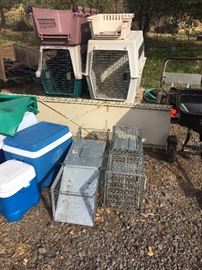 Kennels/traps