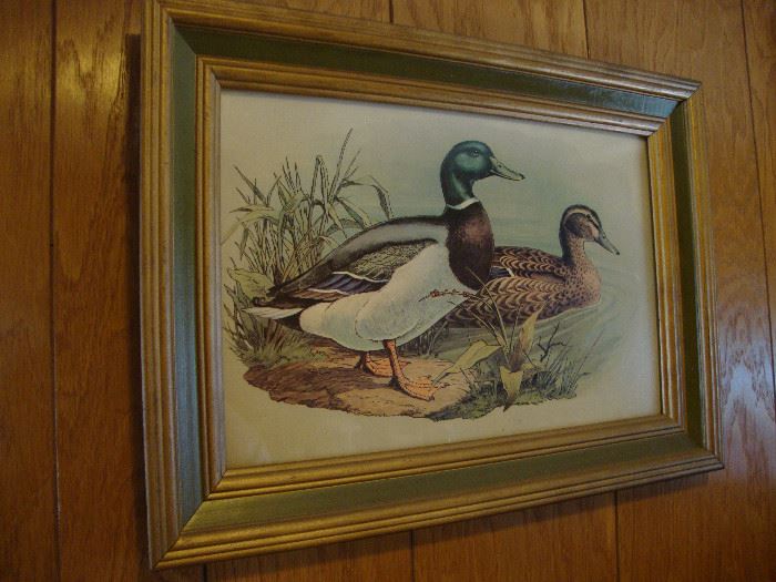 Vintage framed wildlife art