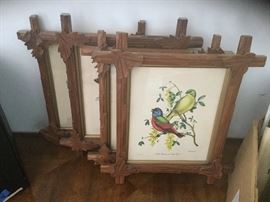 Great bird prints in Adirondack frames