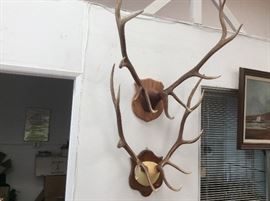 Antlers