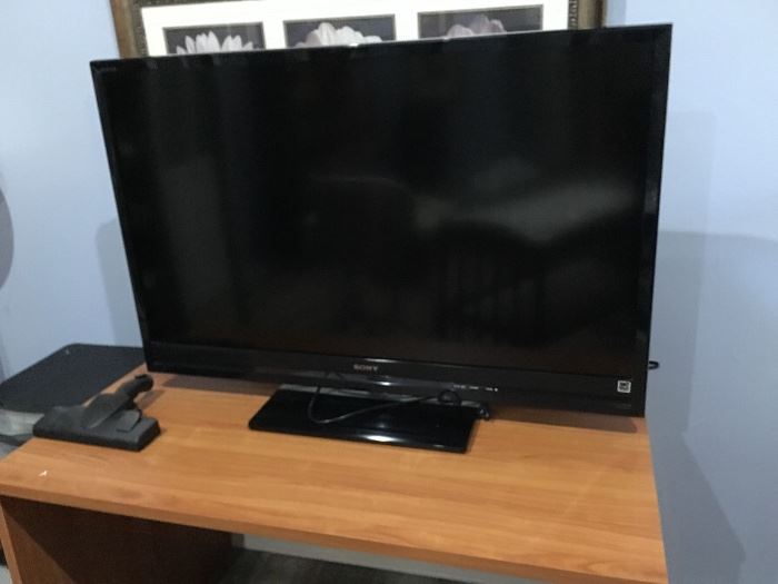 Sony Flat Screen Television