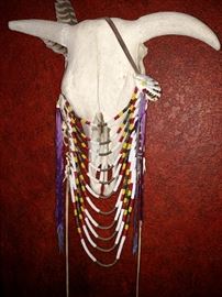 Buffalo skull