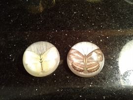 Butterfly paper wait