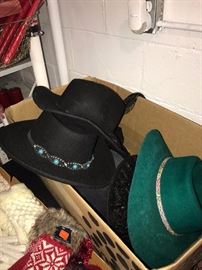 LARGE VARIETY OF WOMENS HATS, SCARVES, GLOVES