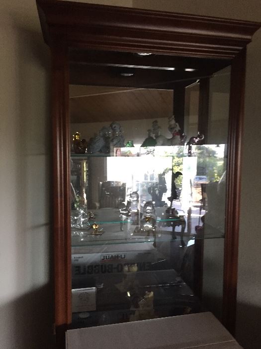 Display Cabinet with light