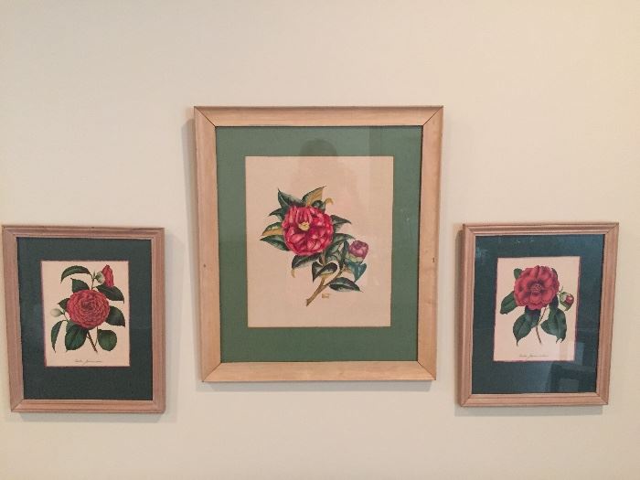 Framed Camellia Art