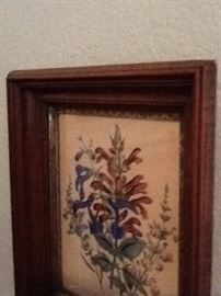 Antique Botantical Print in Walnut Frame