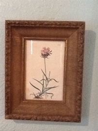 Antique Botantical Print in ornate Gesso Frame