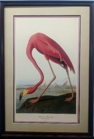 #9020 Flamingo by John Audobon