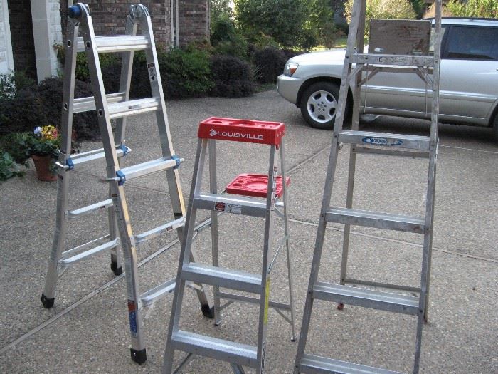 Some of the Ladders...