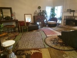 rugs, rugs, and more area rugs