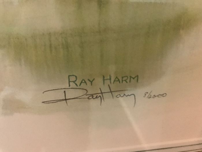 Ray Harm print