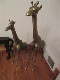 Large brass giraffes 