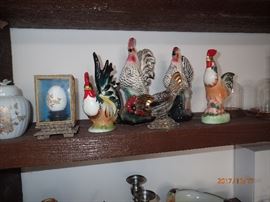 roosters