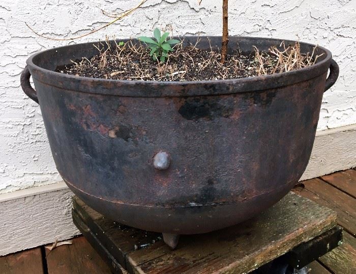 Large antique cast iron cauldron - outdoor planter pot