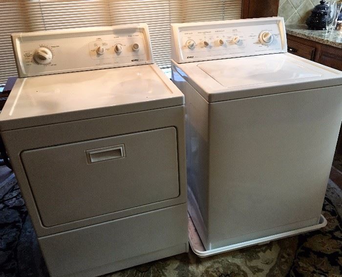 Kenmore washer & dryer, about 10 years old.   Work great!