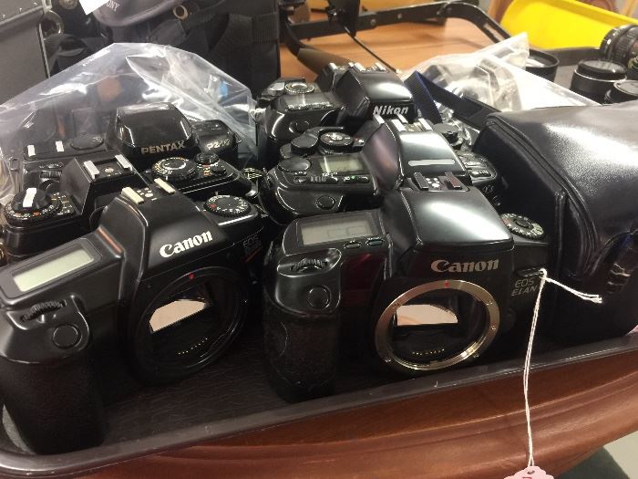 Camera Collection 