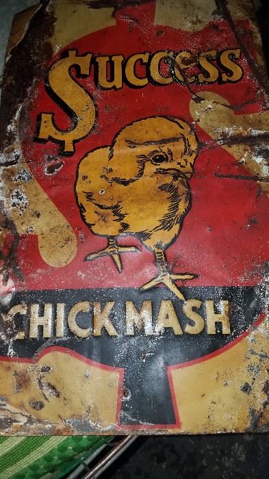 Advertising. Success Chick Mash sign