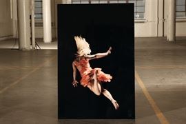 Massive Contemporary Color Photograph Mounted On Plexiglass- 