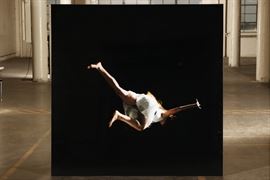 Massive Contemporary Color Photograph Mounted On Plexiglass- 