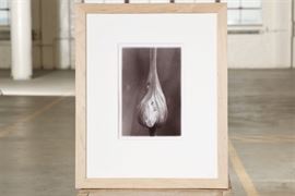 Monica Englund- Modern Black And White Photograph- "Field Garlic"