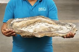 Massive And Heavy Stone Shallow Dish