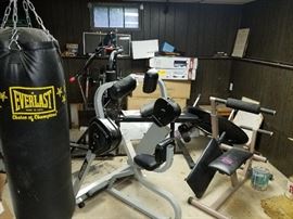 heavy bag, bench, ab machines, priced to go!!!