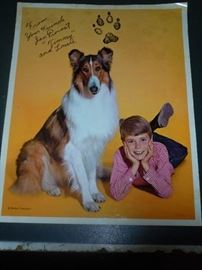 Promotional photo of Lassie & Timmy signed w/paw print