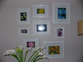 Assorted Flower pictures